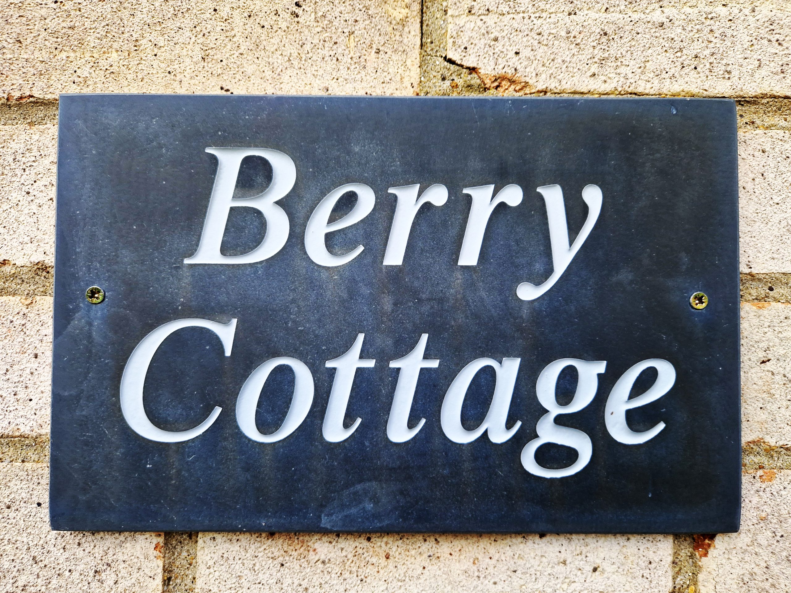 berry 20250427_165552