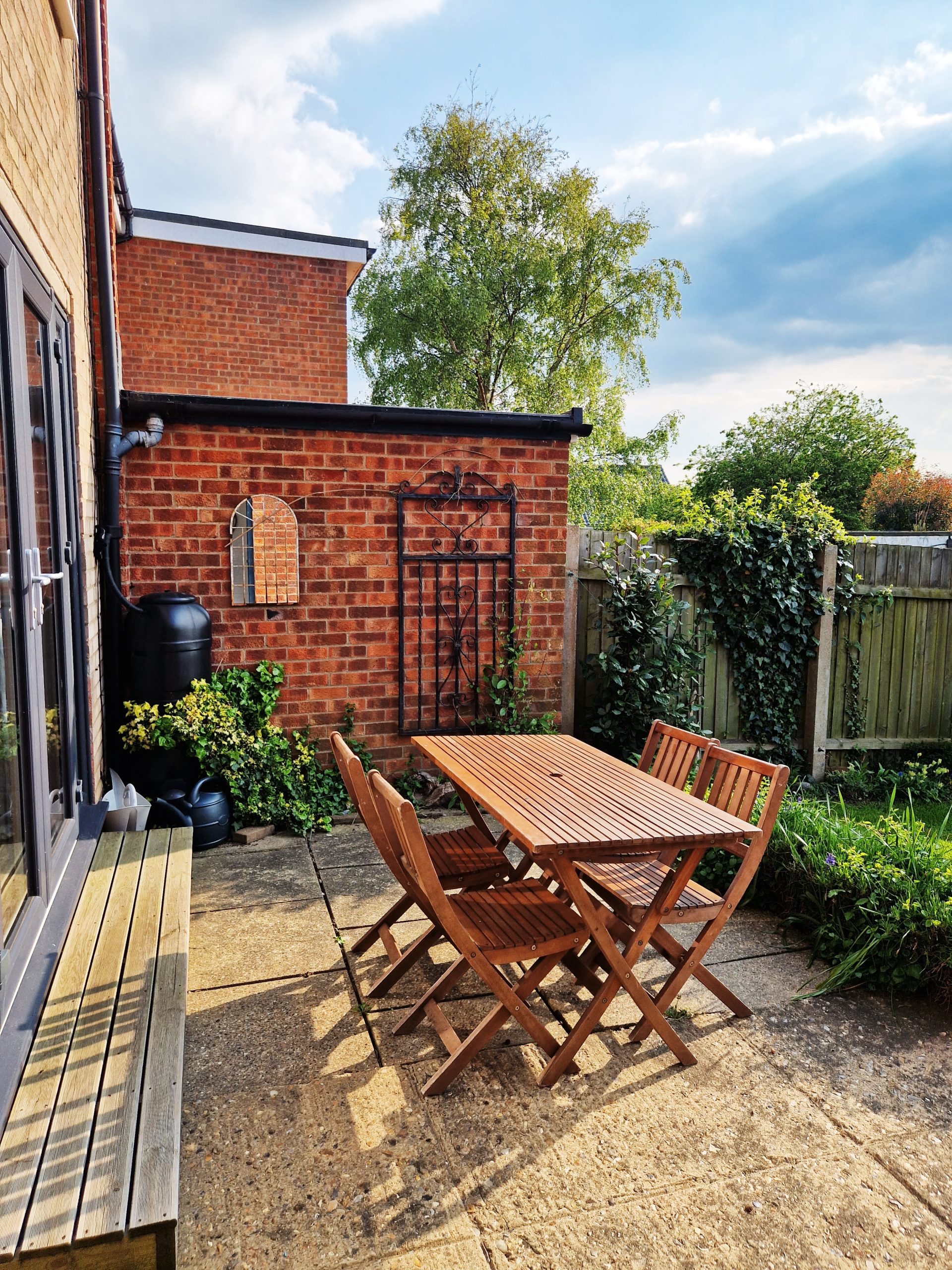 berry 20250427_170104