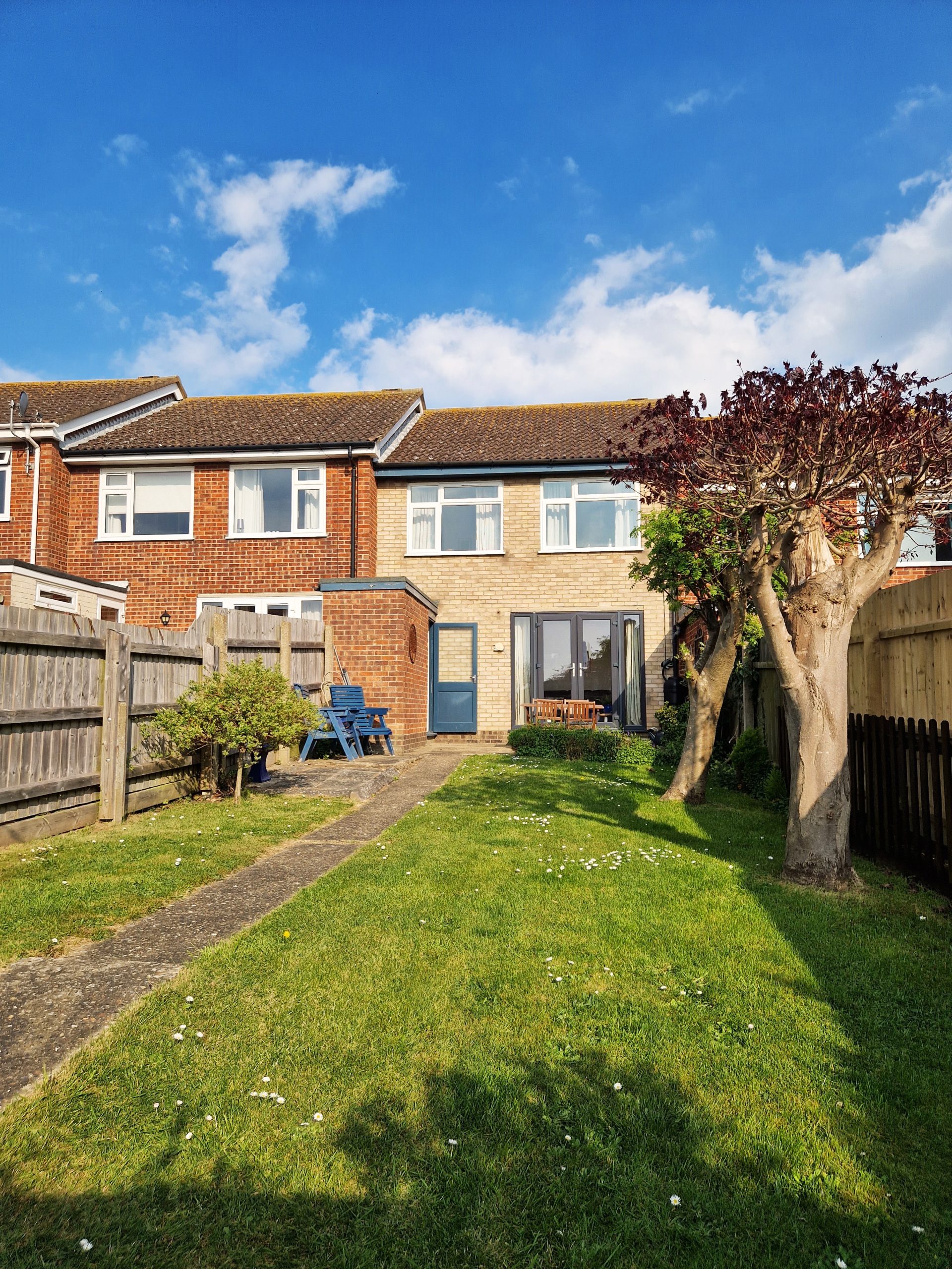 berry 20250427_170138