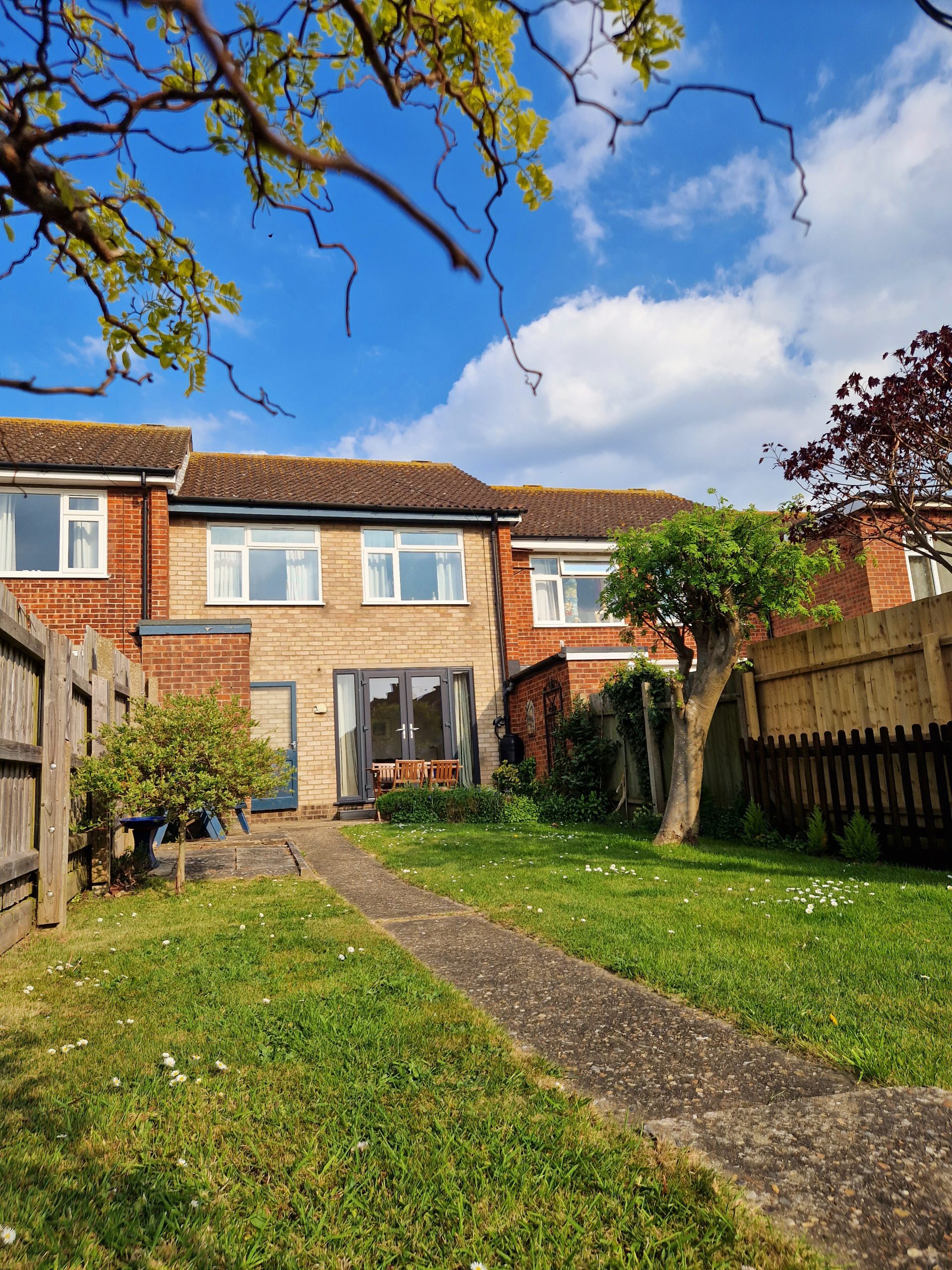 berry 20250427_170335 (1)