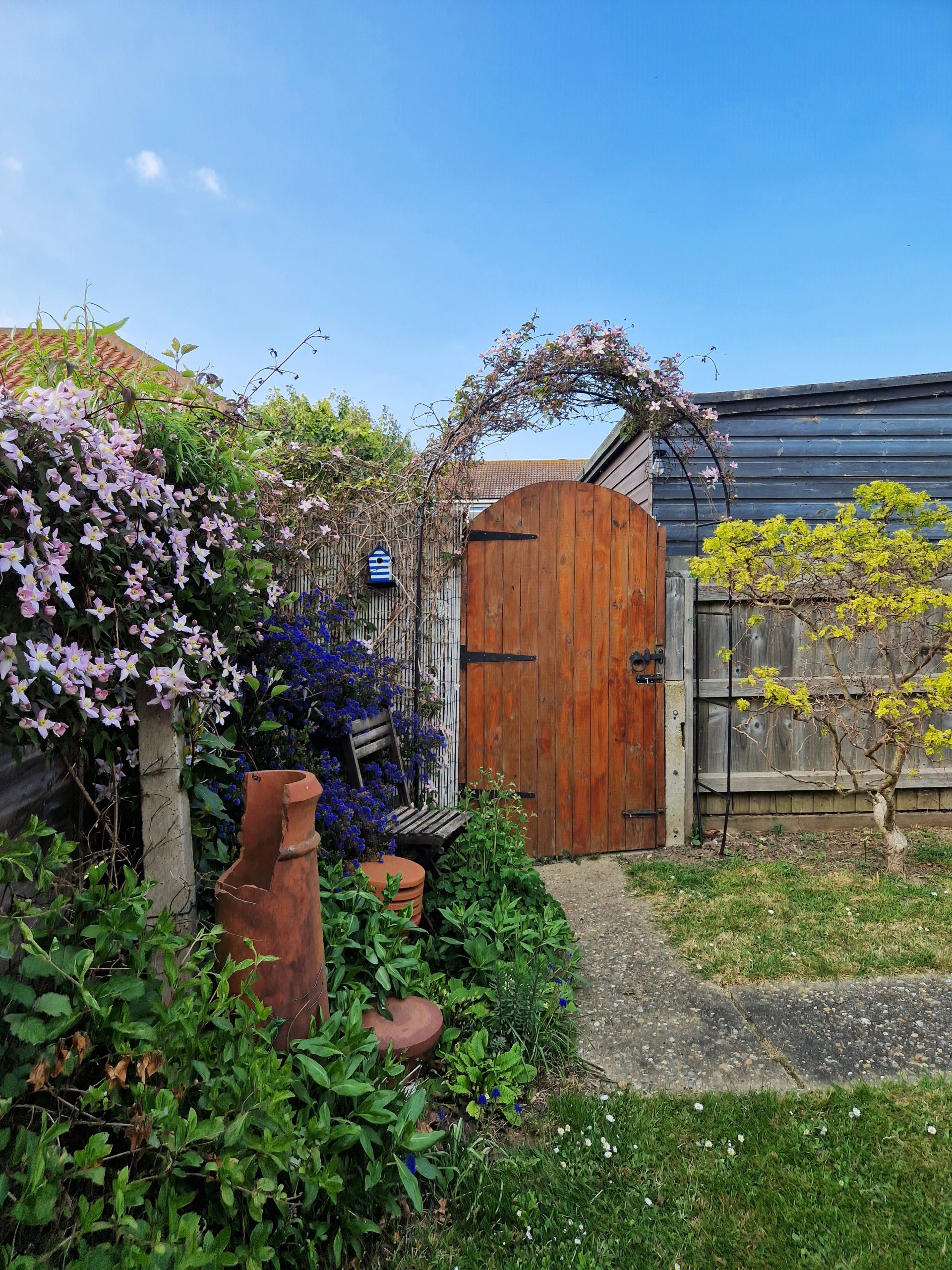 berry 20250427_170349