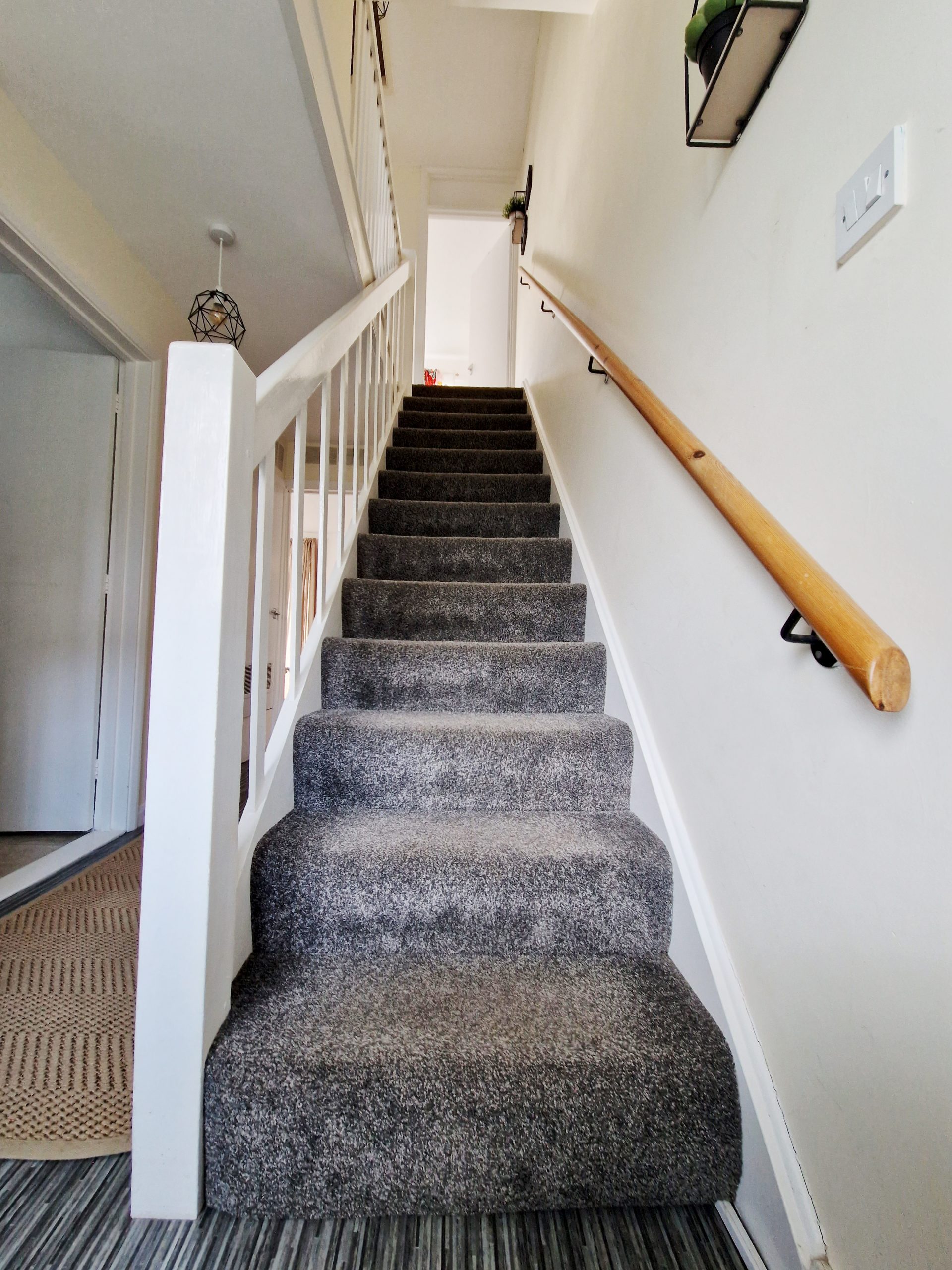 berry 20250427_170824