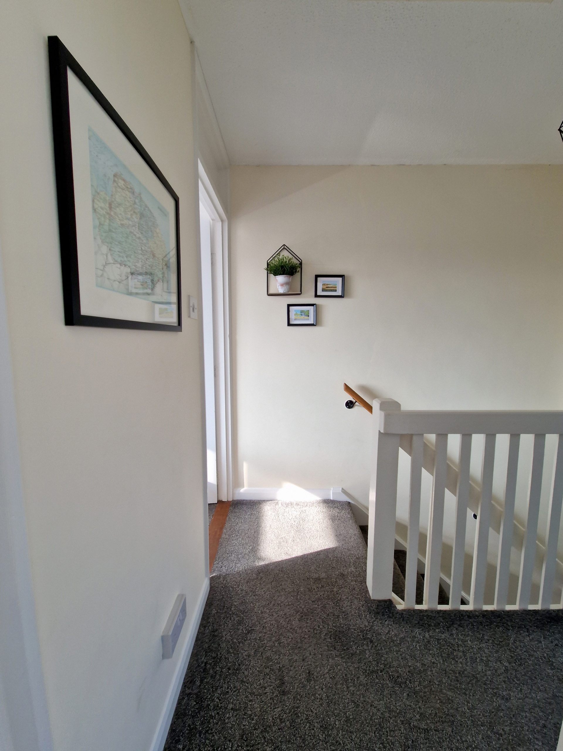 berry 20250427_172213